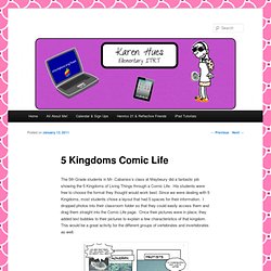 5 Kingdoms Comic Life