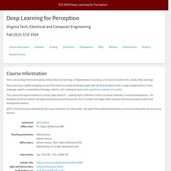 ECE 6504 Deep Learning for Perception