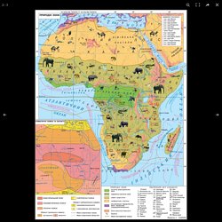 Природні зони Африки (карта) та метеріал для ознайомлення