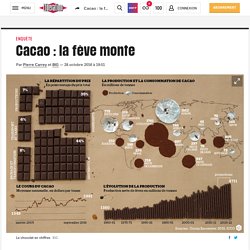 Cacao : la fève monte
