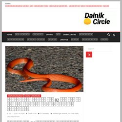 दुधवा टाइगर रिज़र्व में 82 साल बाद एक बार फिर से देखने को मिला रेड कोरल कूकरी सांप - Dainik Circle