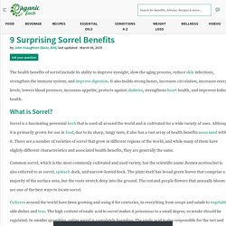 9 Surprising Sorrel Benefits