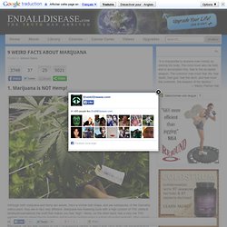9 Weird Facts About MarijuanaEndAllDisease