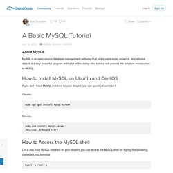 A Basic MySQL Tutorial