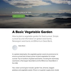 A Basic Vegetable Garden
