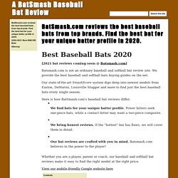 A BatSmash Baseball Bat Review