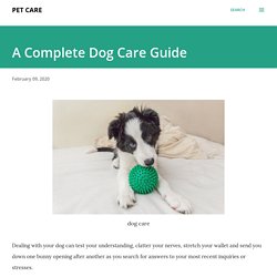 A Complete Dog Care Guide