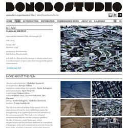A d a m / Films / Film / Bonobostudio