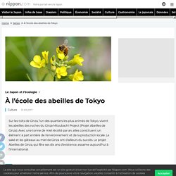 À l’école des abeilles de Tokyo