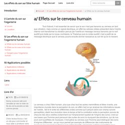 a/ Effets sur le cerveau humain