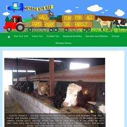 *****A Farming Year – Hall Farm Park