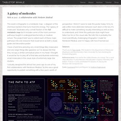 A galaxy of molecules