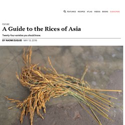 A Guide to the Rices of Asia