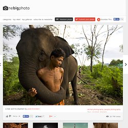 An Asiatic elephant embraces his human