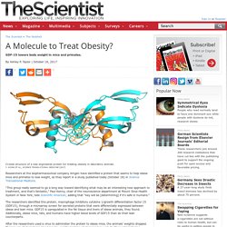 A Molecule to Treat Obesity?