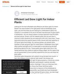 Efficient Led Grow Light For Indoor Plants