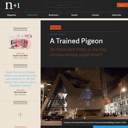 A Trained Pigeon