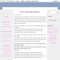 Pet Abandonment - Animal Rights Action