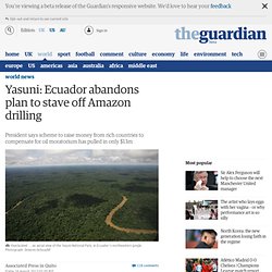 Yasuni: Ecuador abandons plan to stave off Amazon drilling