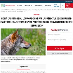 NON à l'abattage du loup ordonné par la préfecture de Charente-Maritime le 04/12/2020 : espèce protégée par la convention de Berne depuis 1979