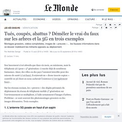 Tués, coupés, abattus ? Démêler le vrai du faux sur les arbres et la 5G en trois exemples