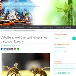 L'abeille noire d'Ouessant réimplantée partout en Europe