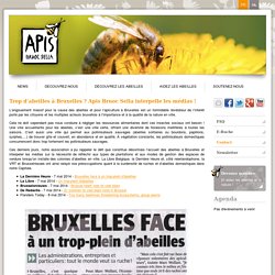 Trop d'abeilles à Bruxelles ? Apis Bruoc Sella interpelle les médias !