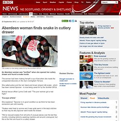 Aberdeen woman finds snake in cutlery drawer