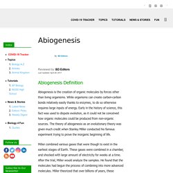 Abiogenesis - Definition and Theory