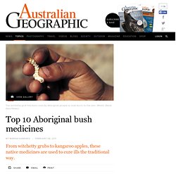 Top 10 Aboriginal bush medicines