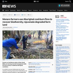 Monaro farmers use Aboriginal cool-burn fires to recover biodiversity, rejuvenate degraded farm land