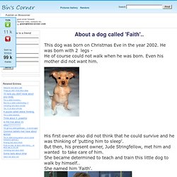 About a dog called 'Faith'..