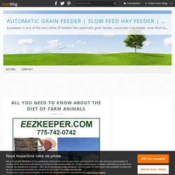All You Need to Know About the Diet of Farm Animals - Automatic Grain Feeder