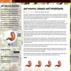 All About » Pot Worms: Classic Soil Inhabitants