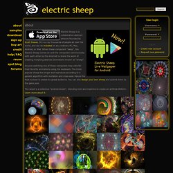 electric sheep