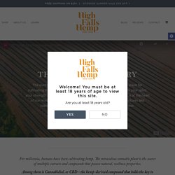 About High Falls and Their Story of Life-enhancing CBD