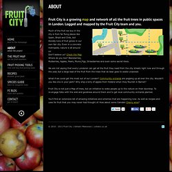 About « Fruit City