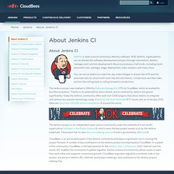 About Jenkins CI