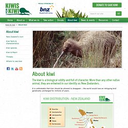 Kiwis for kiwi