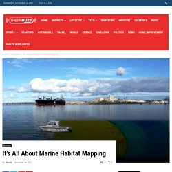 It's All About Marine Habitat Mapping