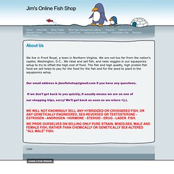 About Me - Jim's Online Fish Shop