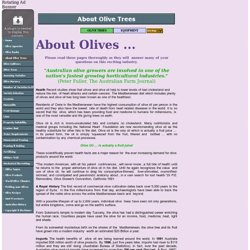 About Olive Trees