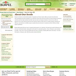 About Our Seeds - Burpee
