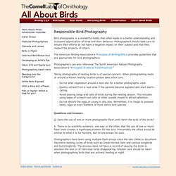 All About Birds : Responsible Bird Photography