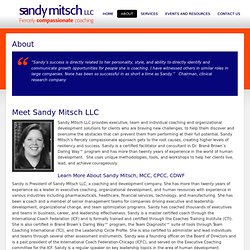 About Sandy Mitsch, LLC
