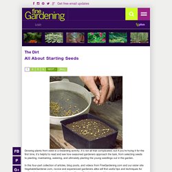 All About Starting Seeds