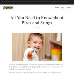 All You Need to Know about Bites and Stings
