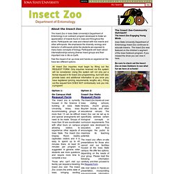 About the Insect Zoo