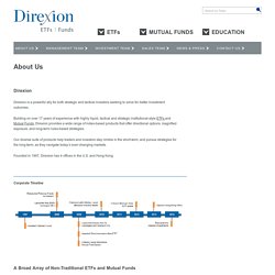 About Direxion Shares