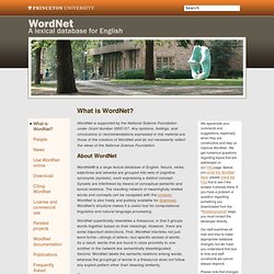 About WordNet - WordNet - About WordNet